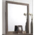Mirror Brown