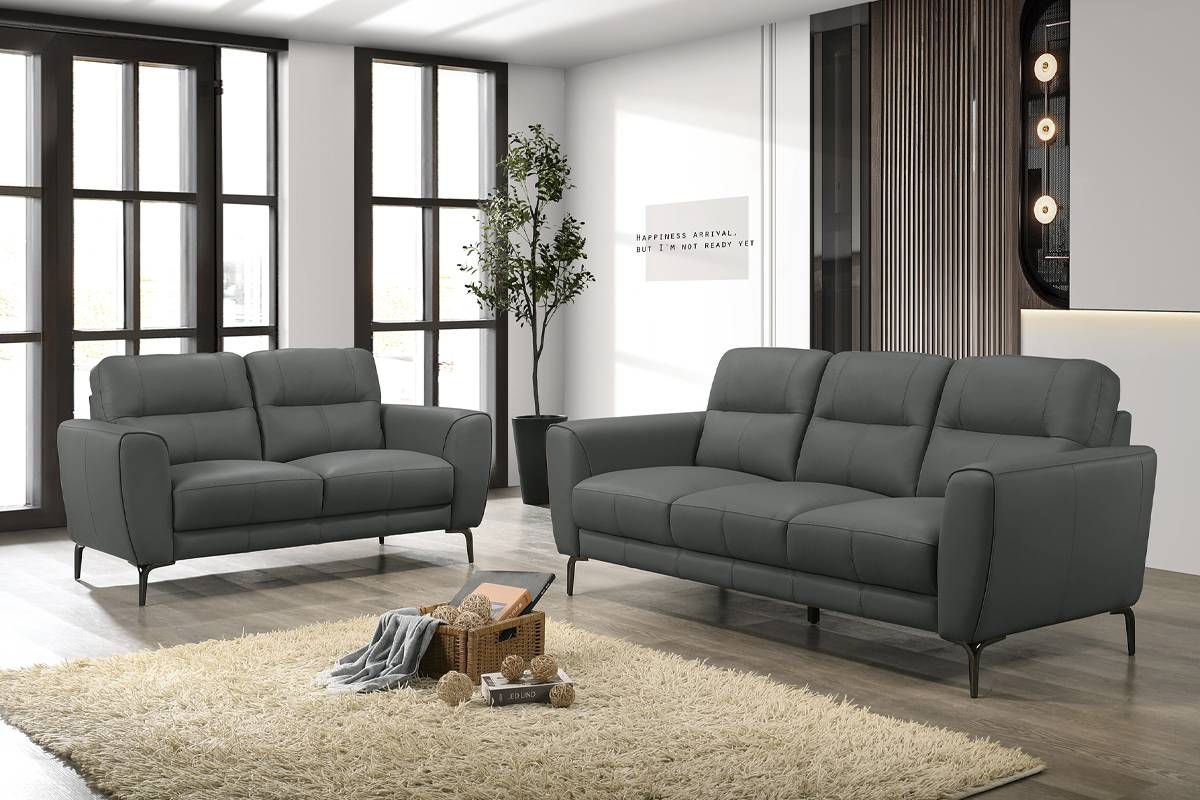 2 Pcs Sofa & Loveseat Anthracite Grey