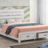 Brantford Eastern King Storage Bed Coastal White