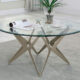 Alvise Contemporary Champagne Tempered Glass Coffee Table