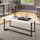 Izar Contemporary White & Gun Metal Coffee Table
