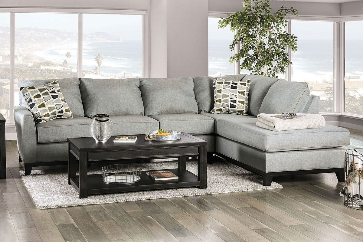 Bridie Transitional Grey Sectional Sofa